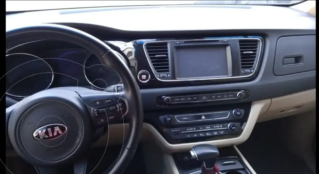 Kia Carnival Ex 2.2 Crdi Premium Aut  2019 - foto 4