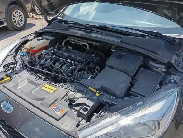 Ford Focus Focus L/16 1.6 4 P S  2017 - foto 5