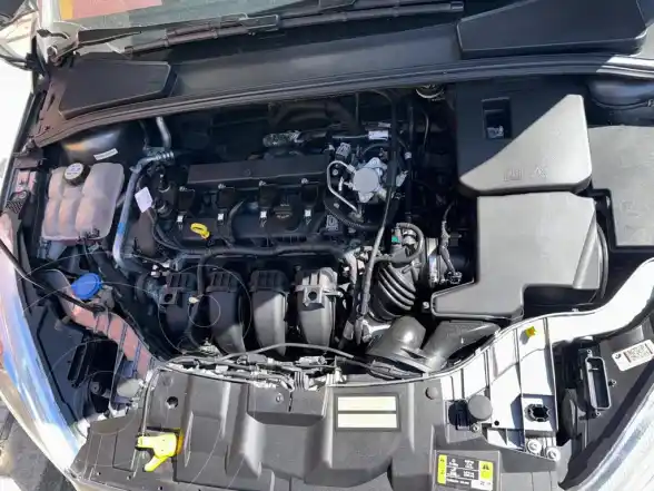 Ford Focus 5P 2.0L Titanium Aut  2017 - foto 5