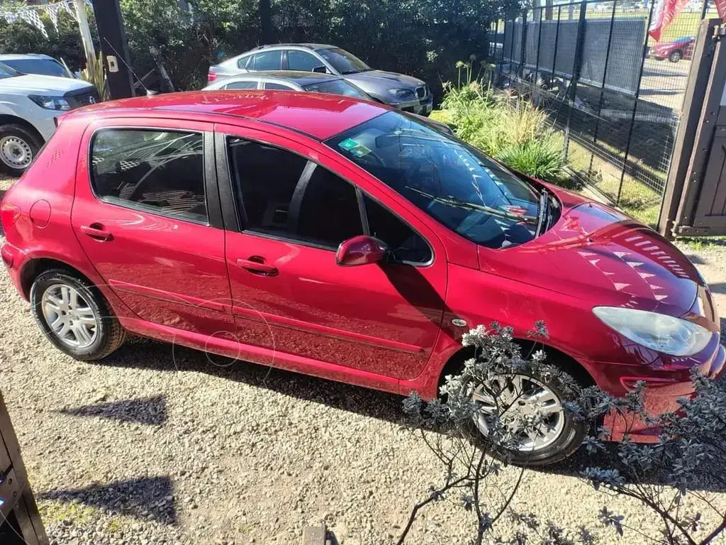 Peugeot 307 307 1.6 5 P. Xs L/N 2011 - foto 2