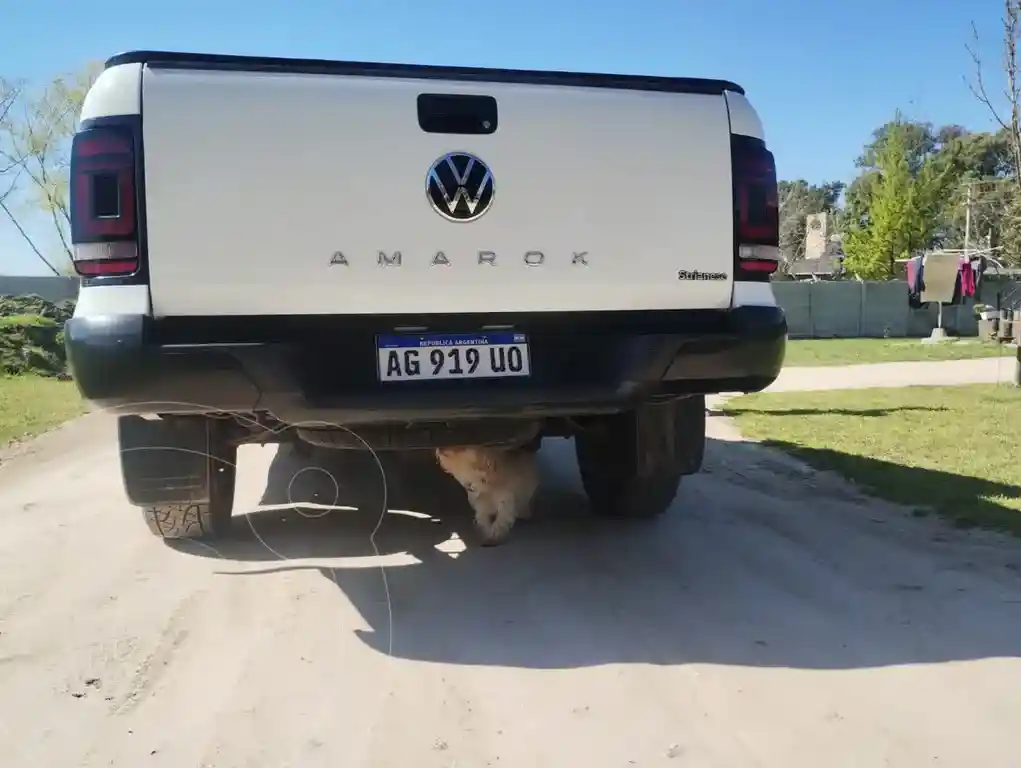Volkswagen Amarok Dc 4X2 Trendline  2024 - foto 5