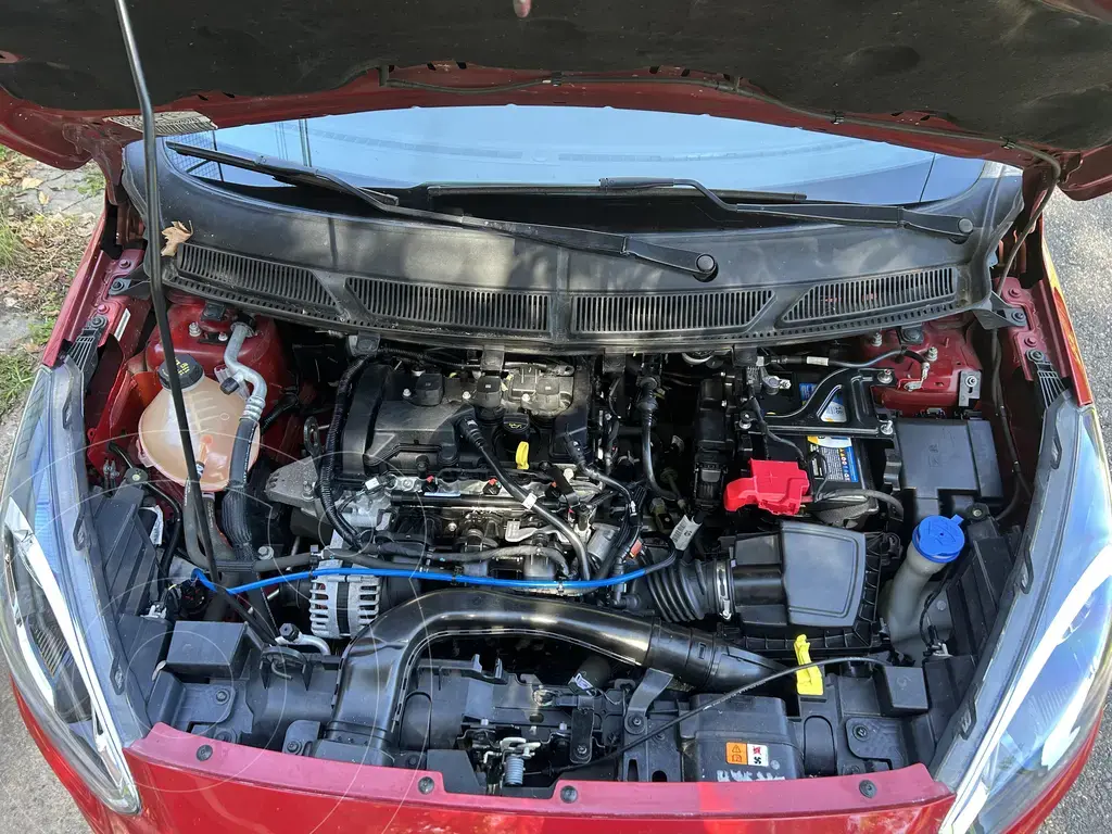 Ford Ka + Sel (1499 Cc) 2019 - foto 4