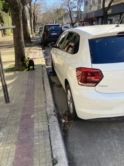 Volkswagen Polo 5P Trendline Aut  2020 - foto 4