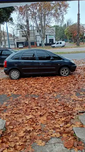 Citroën Xsara Picasso 2.0  2005 - foto 4