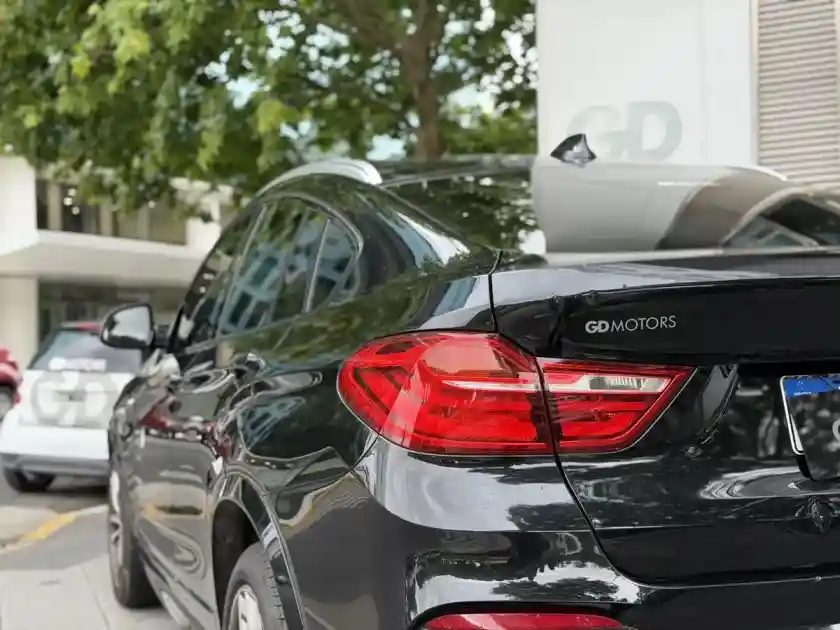 Bmw X4 3.0 Xdrive35I 306 Cv M Package 2017 - foto 3