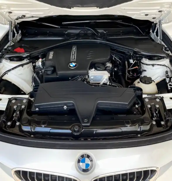 Bmw Serie 3  2013 - foto 5