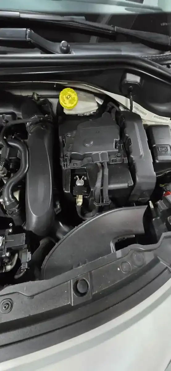 Peugeot 207 1.6 Gti 156Cv 2013 - foto 4