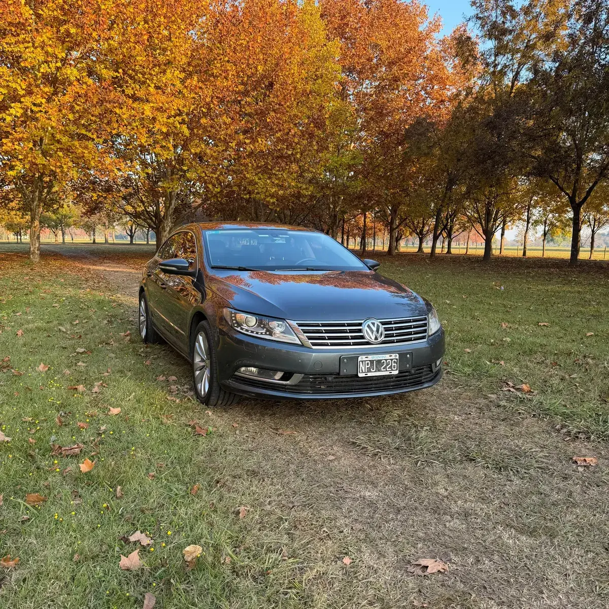 Volkswagen Cc 2.0 Exclusive Dsg Tsi 211Cv 2014 - foto 2