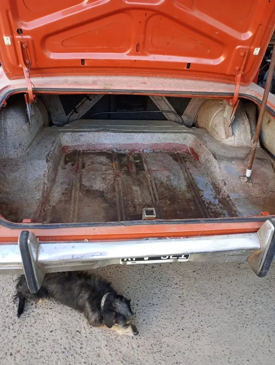 Chevrolet 400 S 1972 - foto 4