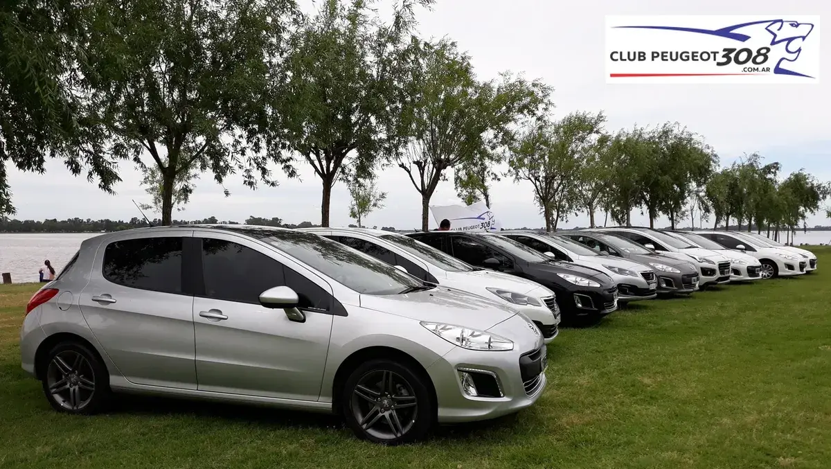Peugeot 308 1.6 Sport Thp 163Cv 2014 - foto 3