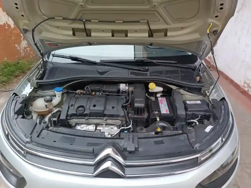 Citroën C4 Cactus 1.6 Vti 115 Feel Pk 2022 - foto 5