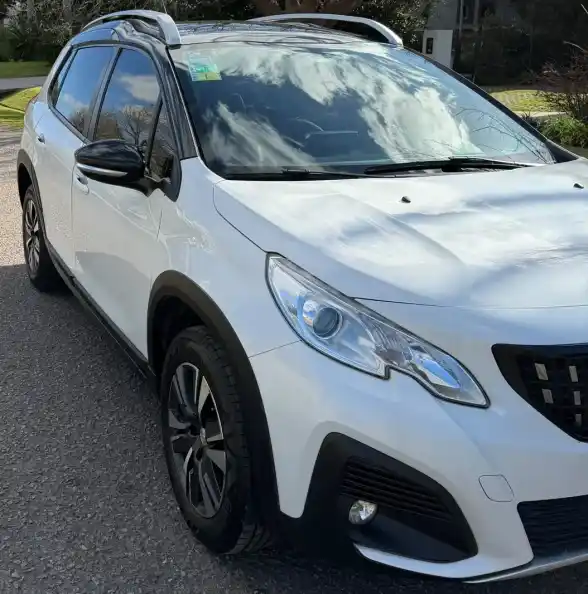 Peugeot 2008 1.6 Feline Tip 2022 - foto 1