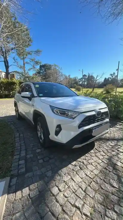 Toyota Rav4 Hibrid 2019 - foto 1