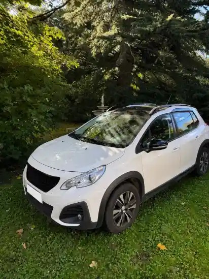 Peugeot 2008 1.6 Feline 2019 - foto 1