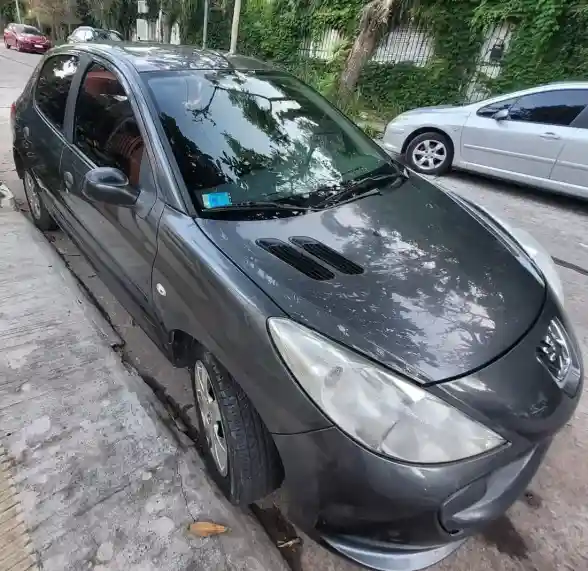 Peugeot 207 Compact 1.4 Xr 2011 - foto 1