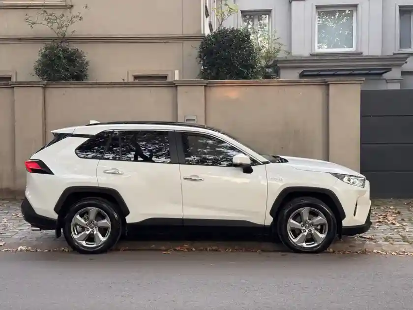 Toyota Rav4 Hibrid 2.5 Hv Limited 4X2 At 2019 - foto 3