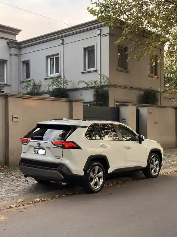 Toyota Rav4 Hibrid 2.5 Hv Limited 4X2 At 2019 - foto 4