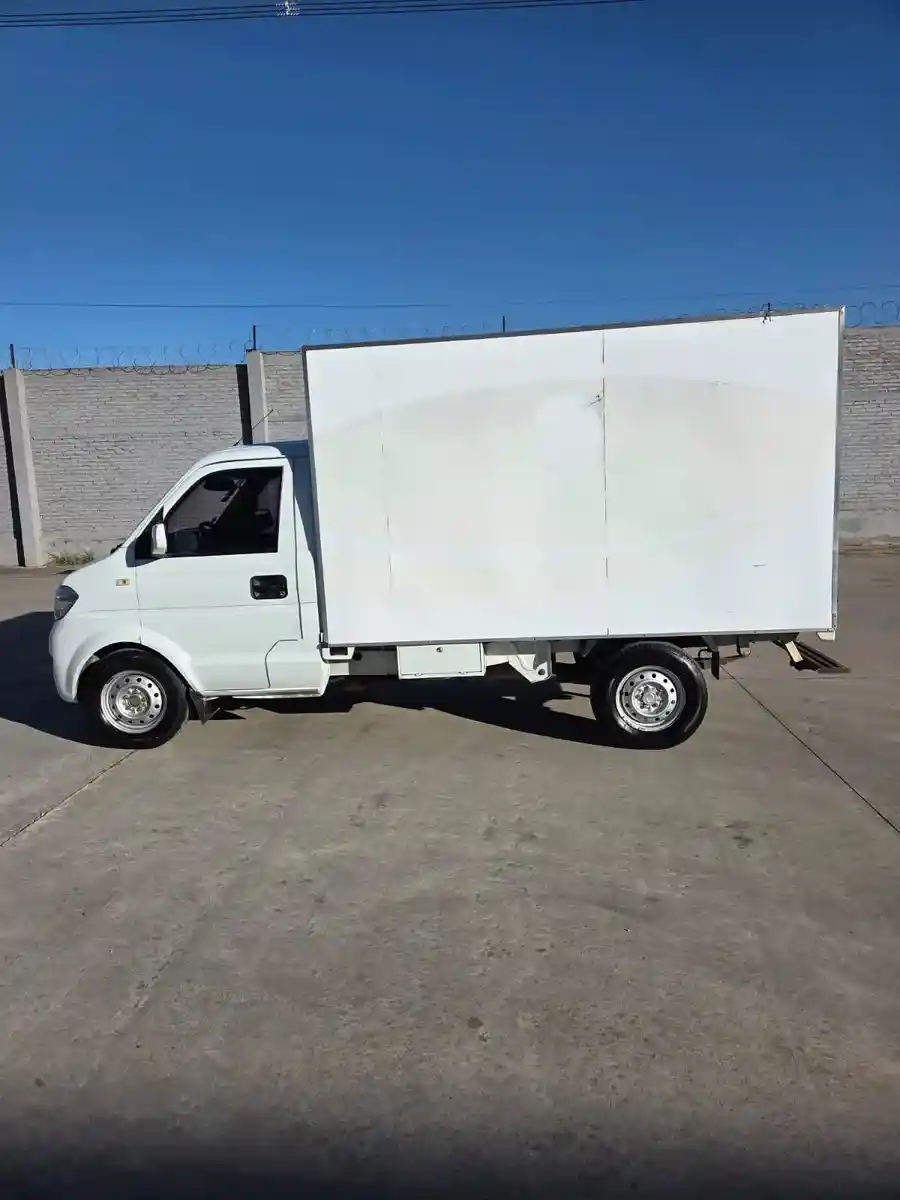 Dfsk C31 1.5 Truck Cab Simple 2020 - foto 3