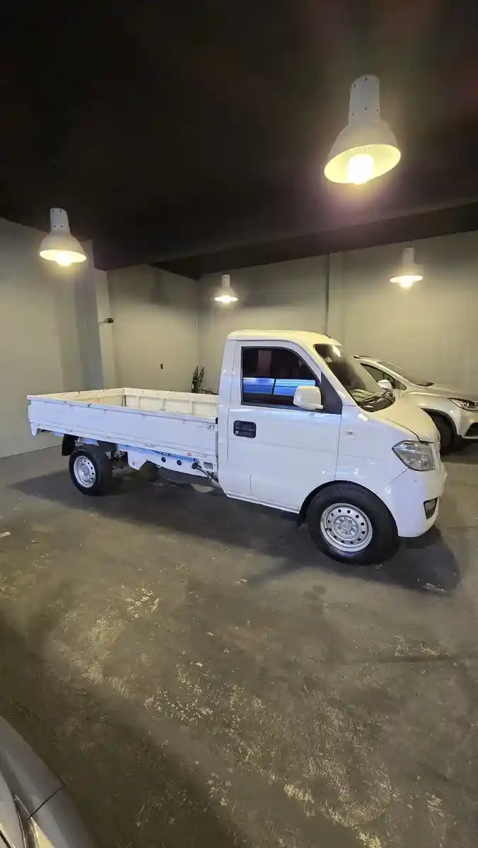 Dfsk C31 1.5 Truck Cab Simple 2021 - foto 4