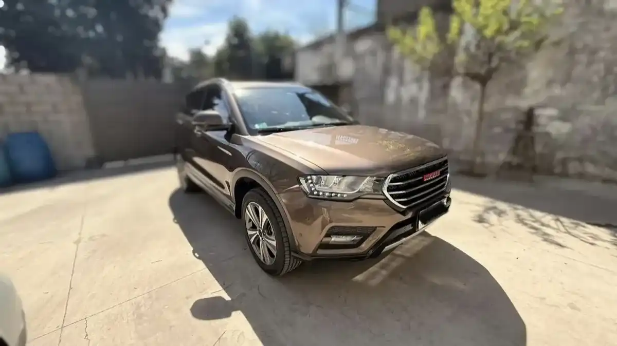 Gwm Haval H6 Dignity 2019 - foto 3