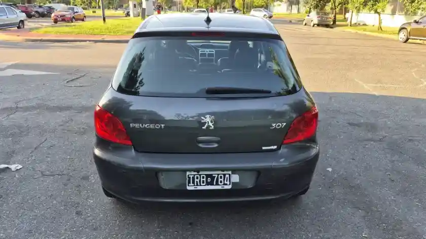 Peugeot 307 2.0 Xs Premium 143Cv Mp3 Lim Vel 2010 - foto 5