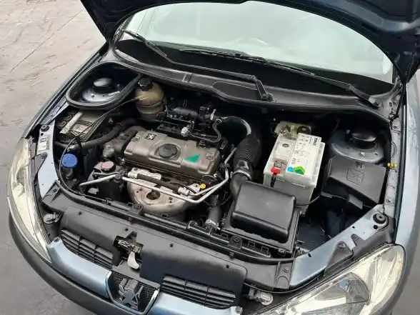 Peugeot 206 X-Line 1.4 5Ptas 2008 - foto 2
