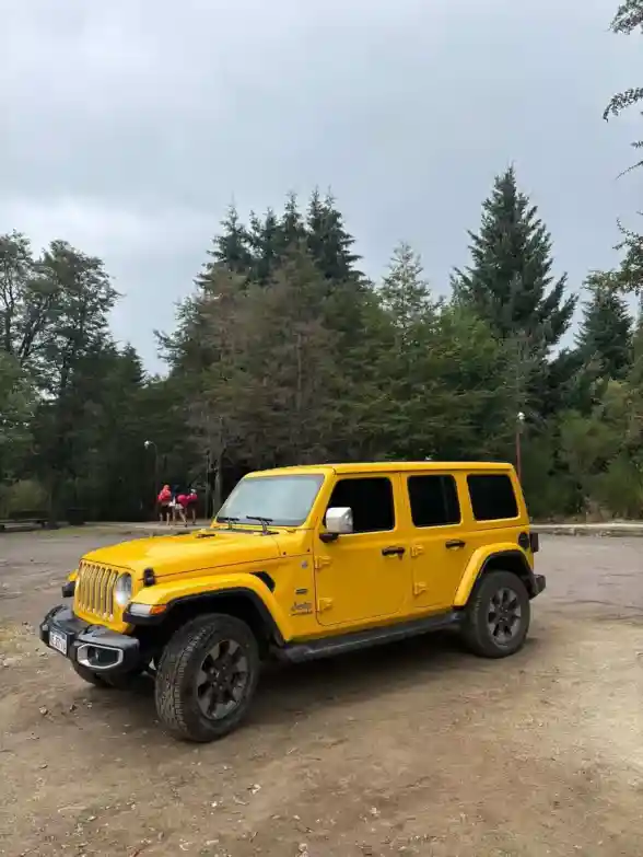 Jeep Wrangler 3.6 Unlimited Sahara 4X4 At8 2020 - foto 1