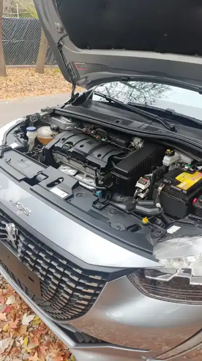 Peugeot 208 1.6 Active 2022 - foto 4