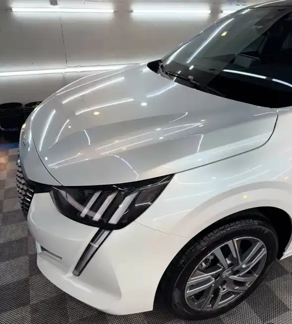 Peugeot 208 1.6 Feline Tiptronic 2024 - foto 3