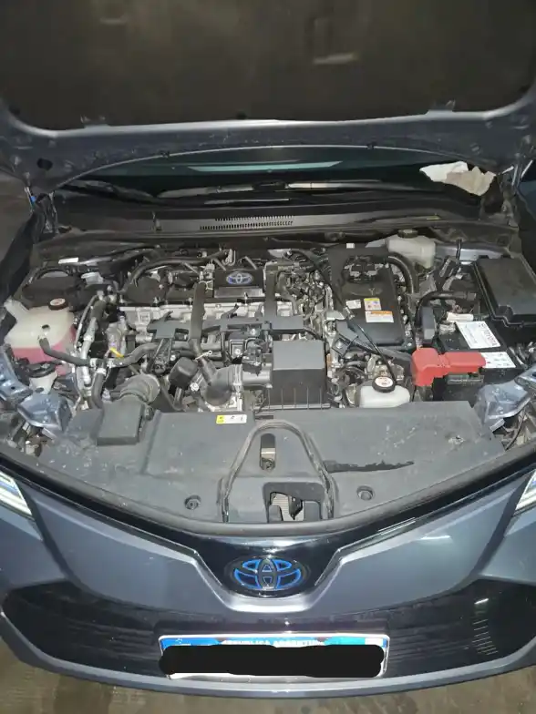 Toyota Corolla 1.8 Hev Seg Ecvt 2021 - foto 5