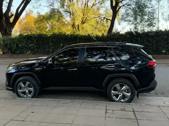 Toyota Rav4 Hibrid 2.5 Hv Limited 4X2 At 2019 - foto 4