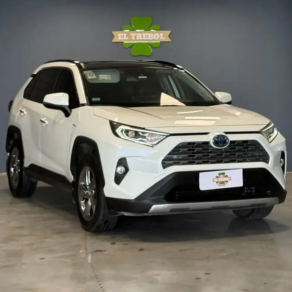 Toyota Rav4 Hibrid 2.5 Hv Limited Awd At 2019 - foto 1