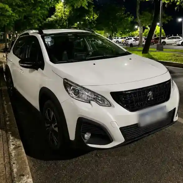 Peugeot 2008 1.6 Feline Tip 2020 - foto 1