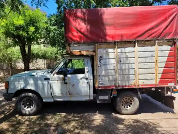 Ford F-100 4.3 D Mwm 1994 - foto 1