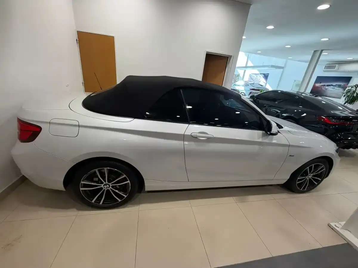 Bmw Serie 2 2.0 220I Sport Lci Cabrio 184Cv 2019 - foto 4