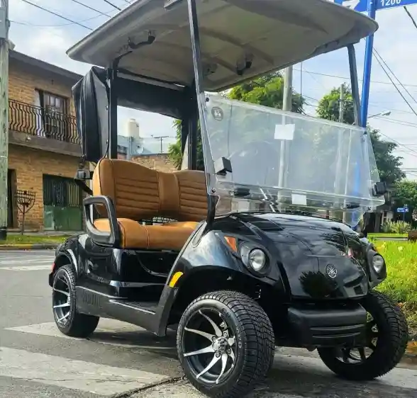 Carro De Golf Barcala Melex 2 , 4 Y 6 Plazas,Etc 2025 - foto 1