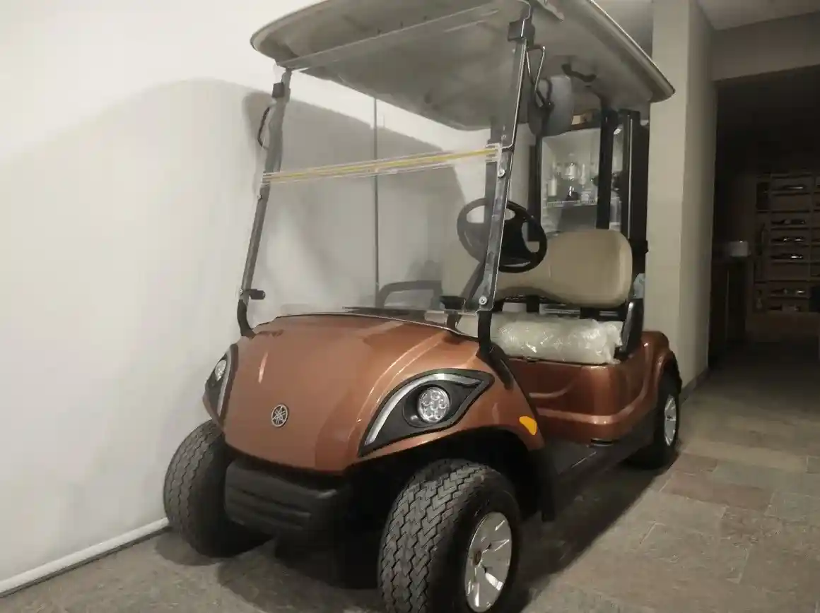 Carro De Golf Barcala Melex 2 , 4 Y 6 Plazas,Etc 2025 - foto 5