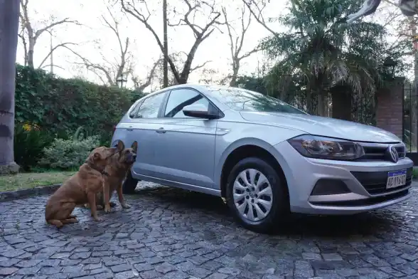Volkswagen Polo 1.6 Msi Comfortline 2018 - foto 3