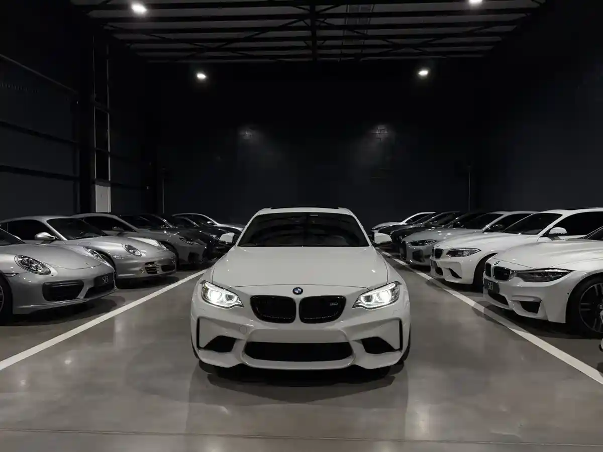 Bmw Serie M 3.0 M2 2018 - foto 3