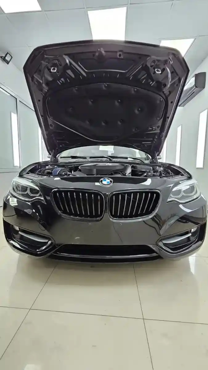 Bmw Serie 2 2.0 220I Sport Line 184Cv 2018 - foto 4