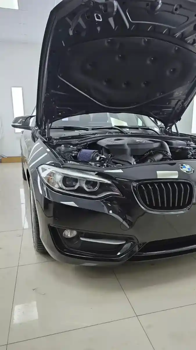 Bmw Serie 2 2.0 220I Sport Line 184Cv 2018 - foto 5
