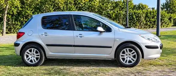Peugeot 307 1.6 Xs 2007 - foto 2