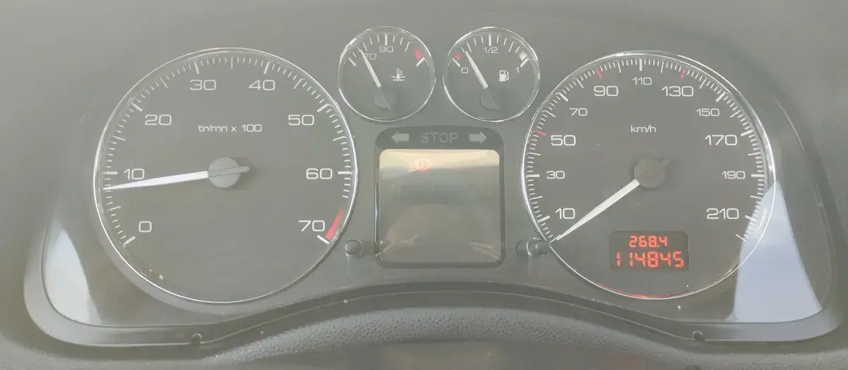 Peugeot 307 1.6 Xs 2007 - foto 3