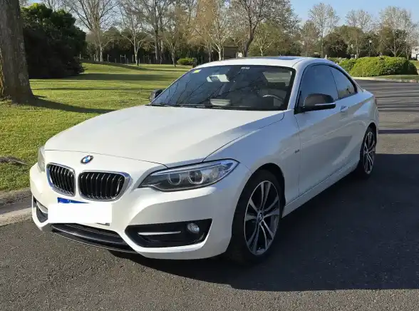Bmw Serie 2 2.0 220I Sport Line 184Cv 2016 - foto 1