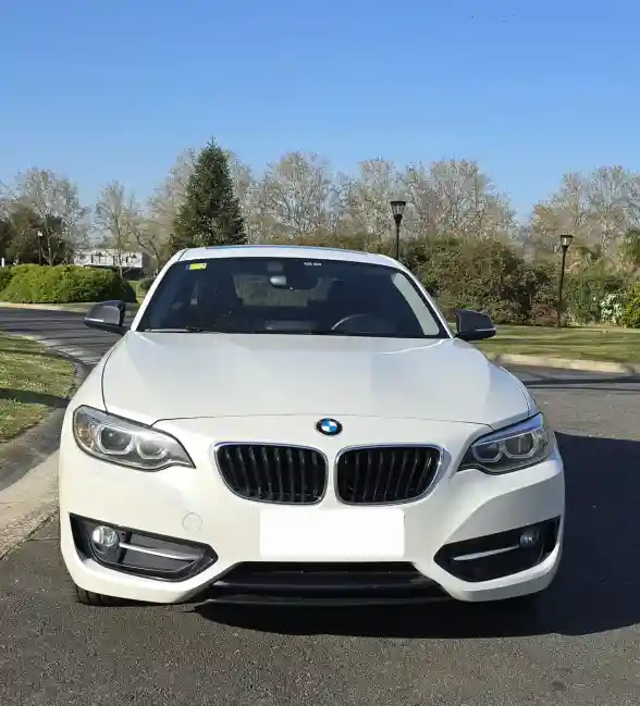 Bmw Serie 2 2.0 220I Sport Line 184Cv 2016 - foto 2