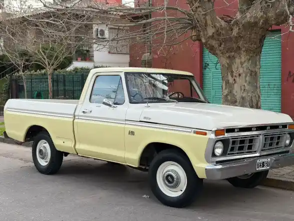 Ford F-100 3.6 Lujo 1977 - foto 1