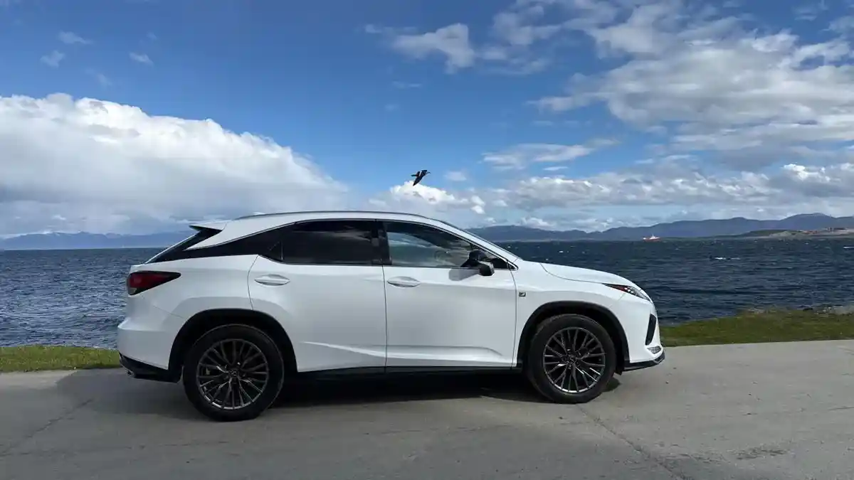 Lexus Rx 350 F-Sport 2020 - foto 3