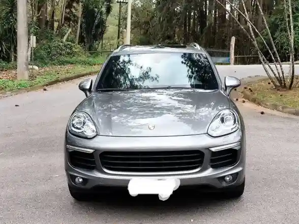 Porsche Cayenne 3.6 V6 Platinum Edition 300Cv 2017 - foto 2