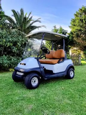 Club Car Precedent Precedent 2021 - foto 1
