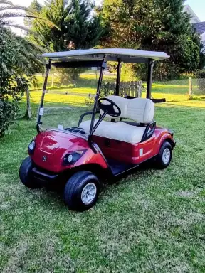 Club Car Precedent Precedent 2021 - foto 5